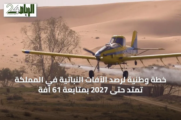 خطة وطنية لرصد الآفات النباتية في المملكة تمتد حتى 2027 بمتابعة 61 آفة