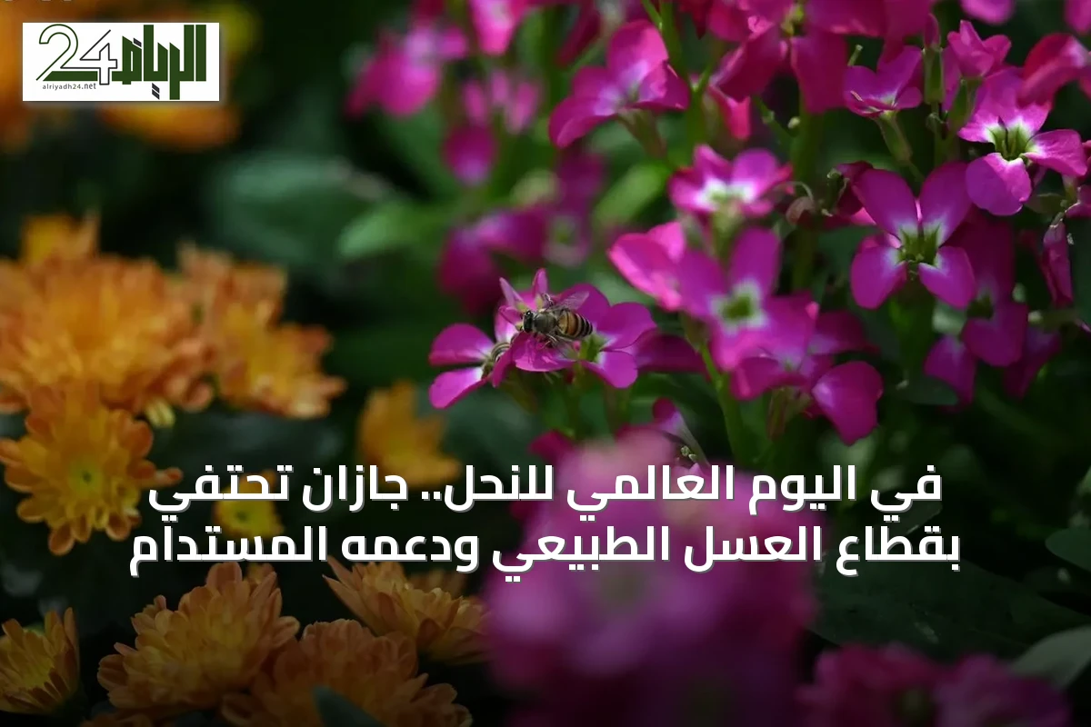 في اليوم العالمي للنحل.. جازان تحتفي بقطاع العسل الطبيعي ودعمه المستدام