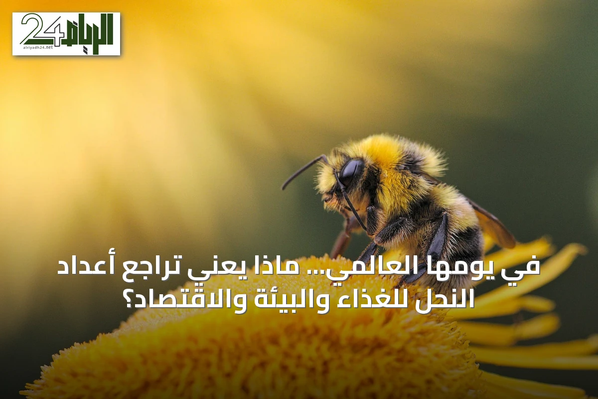 في يومها العالمي... ماذا يعني تراجع أعداد النحل للغذاء والبيئة والاقتصاد؟