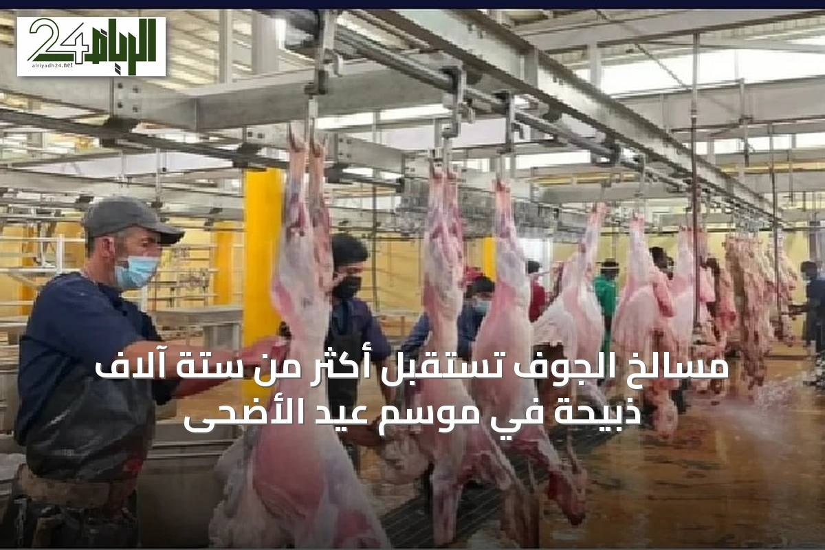 مسالخ الجوف تستقبل أكثر من ستة آلاف ذبيحة في موسم عيد الأضحى