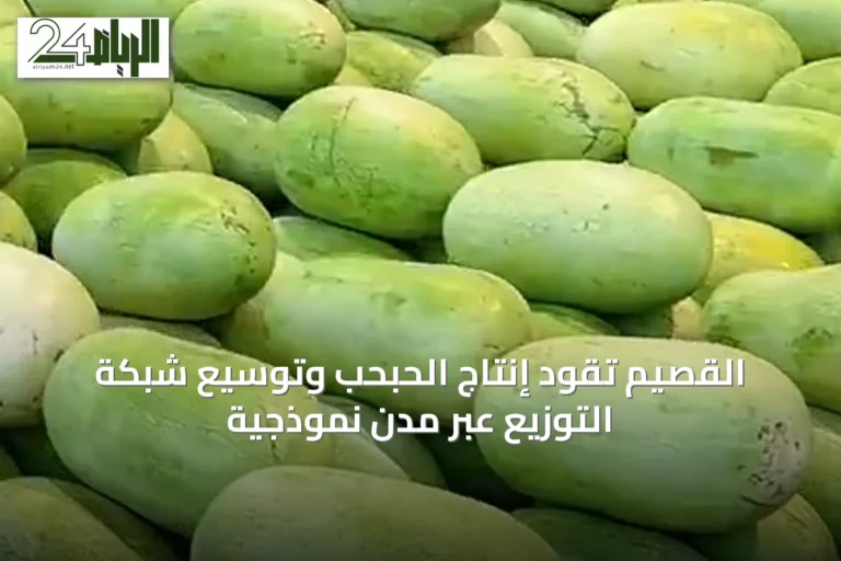 القصيم تقود إنتاج الحبحب وتوسيع شبكة التوزيع عبر مدن نموذجية