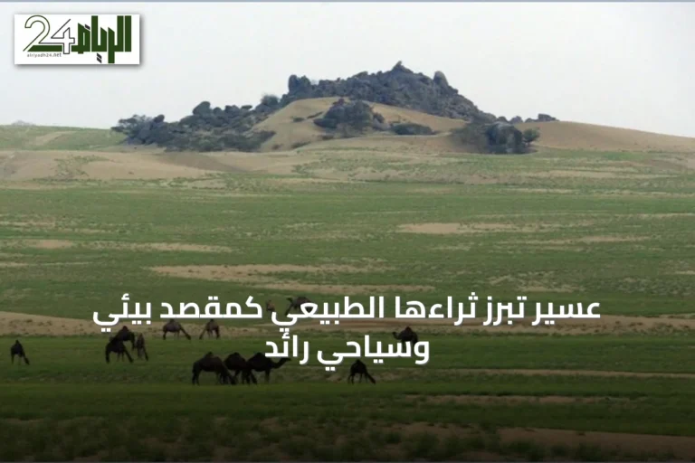 عسير تُبرز ثراءها الطبيعي كمقصد بيئي وسياحي رائد