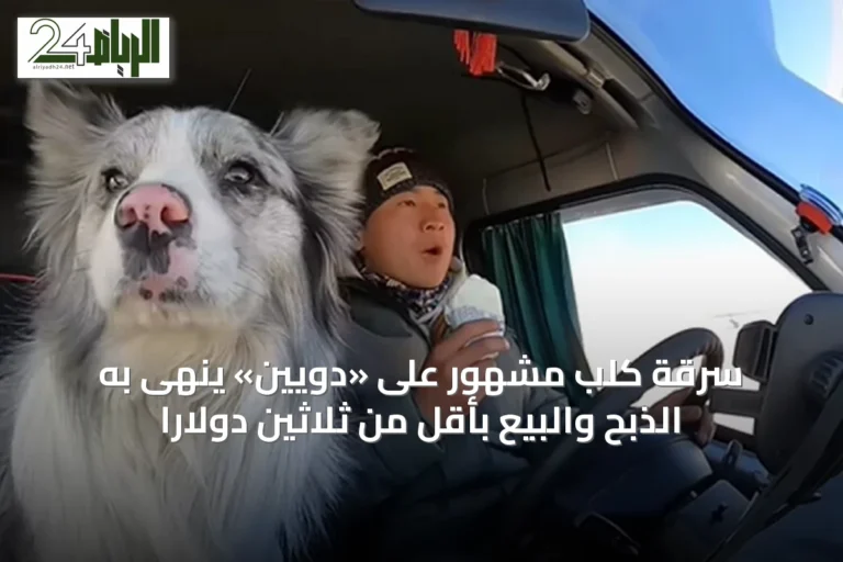 سرقة كلب مشهور على «دويين» ينهى به الذبح والبيع بأقل من ثلاثين دولارًا
