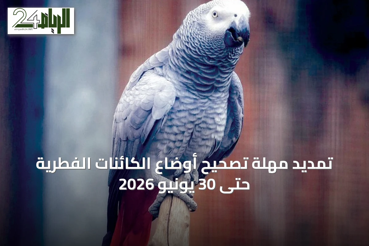 تمديد مهلة تصحيح أوضاع الكائنات الفطرية حتى 30 يونيو 2026