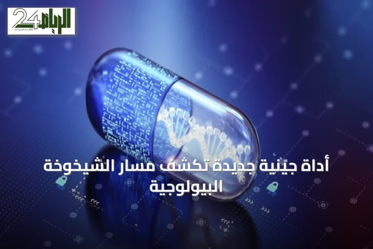 أداة جينية جديدة تكشف مسار الشيخوخة البيولوجية