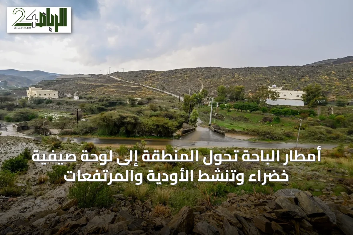 أمطار الباحة تُحوّل المنطقة إلى لوحة صيفية خضراء وتنشط الأودية والمرتفعات