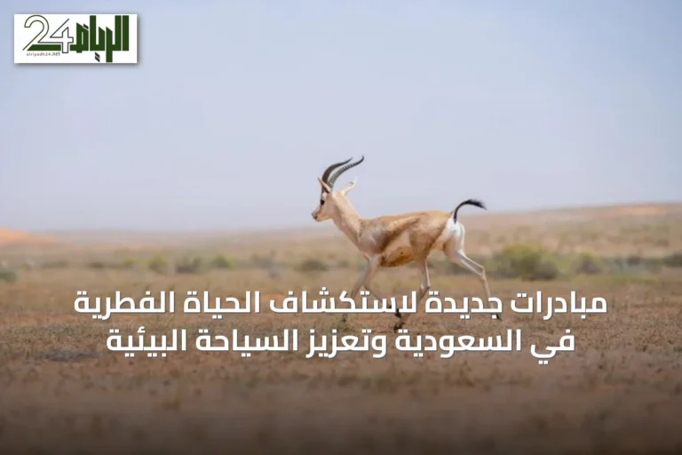 مبادرات جديدة لاستكشاف الحياة الفطرية في السعودية وتعزيز السياحة البيئية