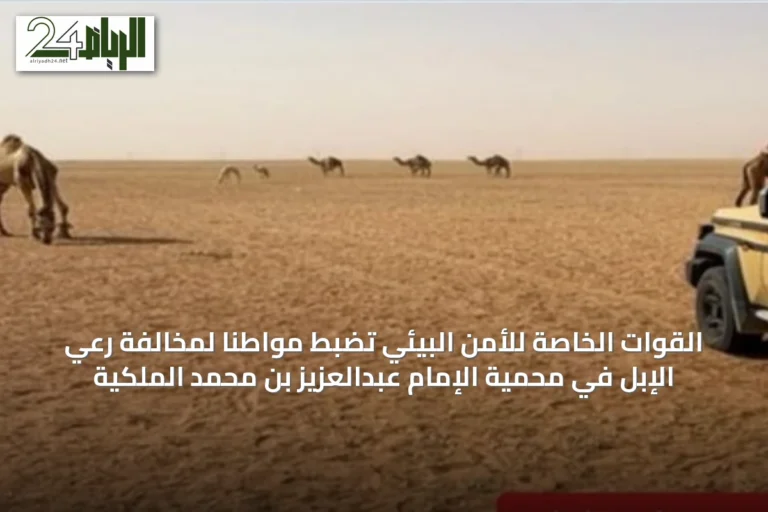 القوات الخاصة للأمن البيئي تضبط مواطنًا لمخالفة رعي الإبل في محمية الإمام عبدالعزيز بن محمد الملكية