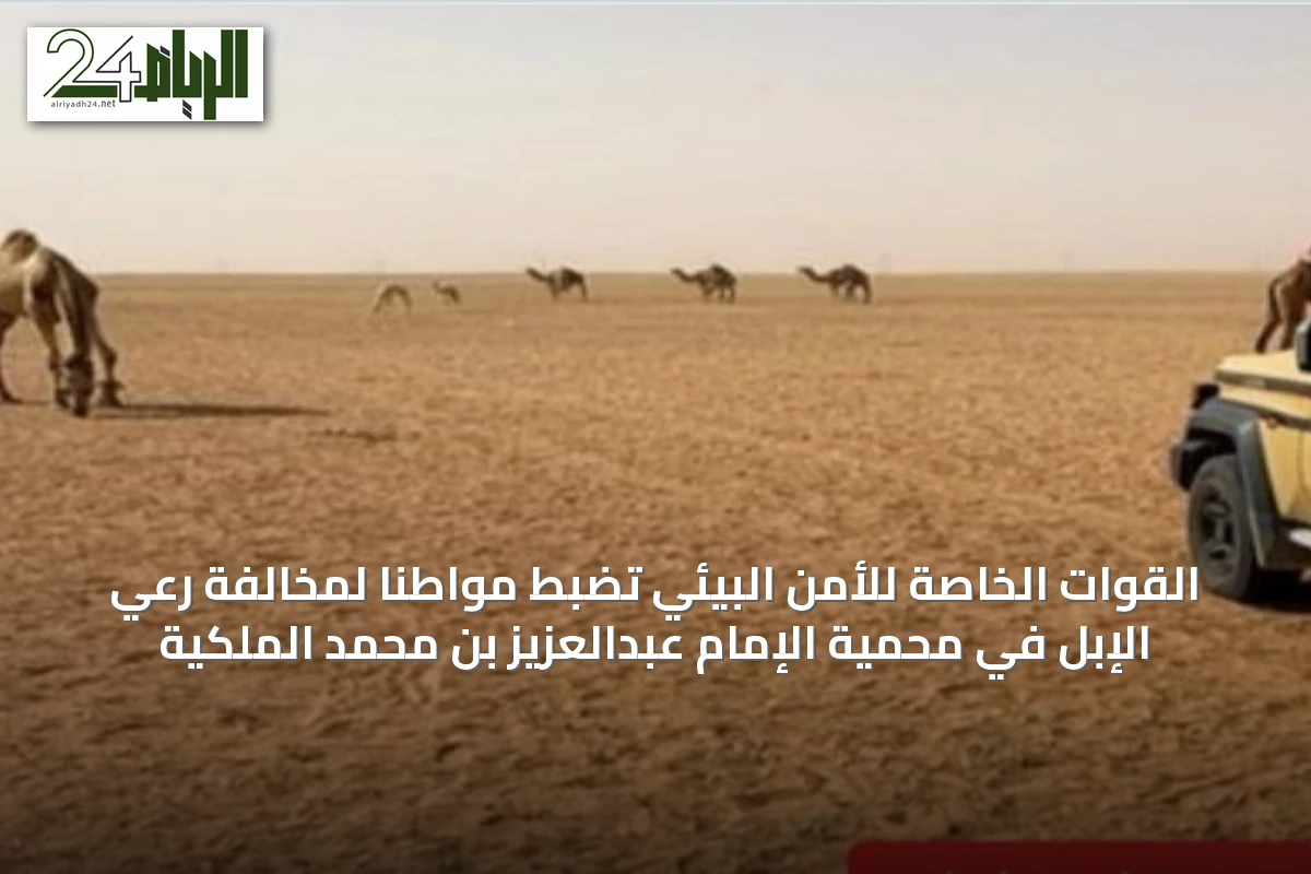 القوات الخاصة للأمن البيئي تضبط مواطنًا لمخالفة رعي الإبل في محمية الإمام عبدالعزيز بن محمد الملكية