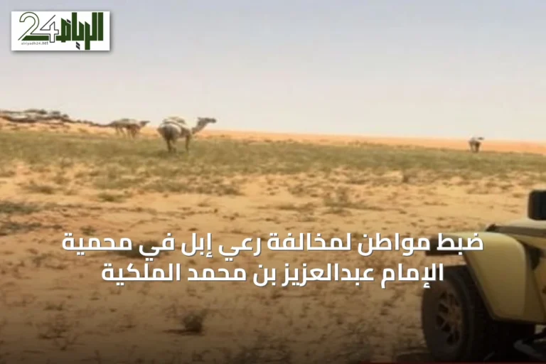 ضبط مواطن لمخالفة رعي إبل في محمية الإمام عبدالعزيز بن محمد الملكية