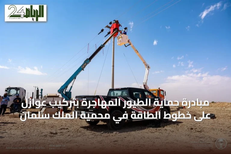 مبادرة حماية الطيور المهاجرة بتركيب عوازل على خطوط الطاقة في محمية الملك سلمان