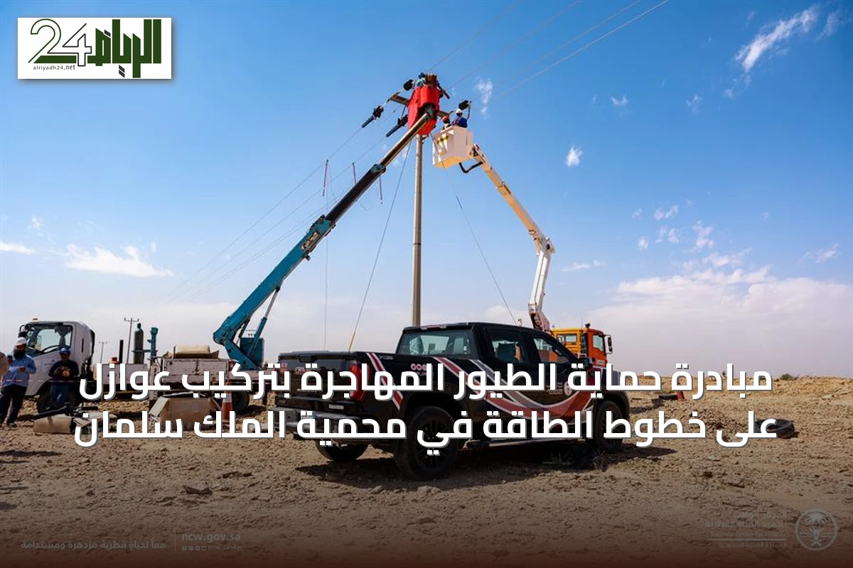 مبادرة حماية الطيور المهاجرة بتركيب عوازل على خطوط الطاقة في محمية الملك سلمان
