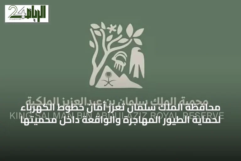 محافظة الملك سلمان تُعزّز أمان خطوط الكهرباء لحماية الطيور المهاجرة والواقعة داخل محميتها