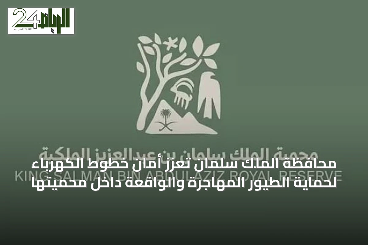 محافظة الملك سلمان تُعزّز أمان خطوط الكهرباء لحماية الطيور المهاجرة والواقعة داخل محميتها