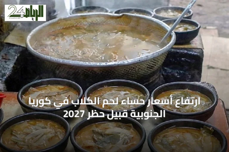 ارتفاع أسعار حساء لحم الكلاب في كوريا الجنوبية قبيل حظر 2027