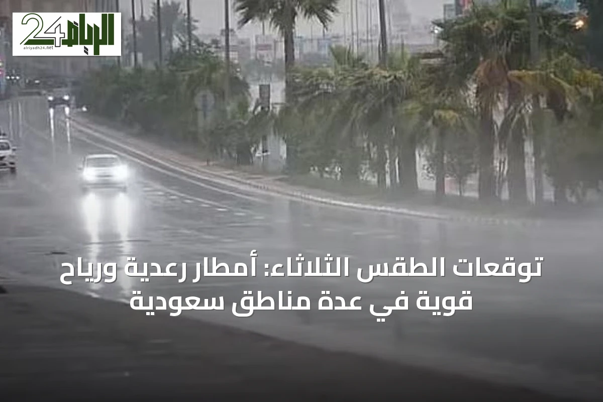 توقعات الطقس الثلاثاء: أمطار رعدية ورياح قوية في عدة مناطق سعودية