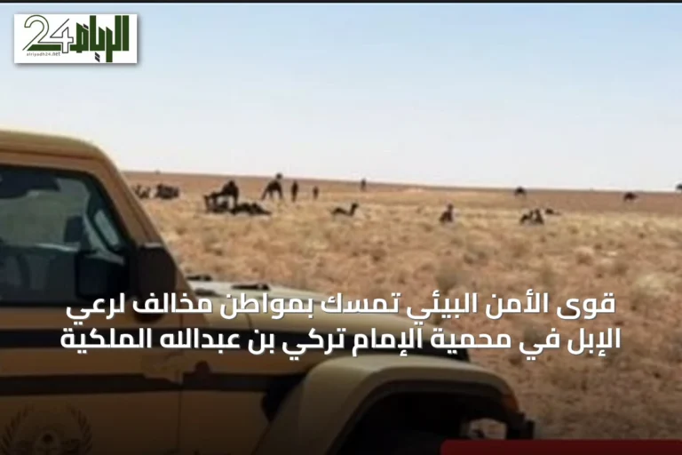 قوى الأمن البيئي تمسّك بمواطنٍ مخالف لرعي الإبل في محمية الإمام تركي بن عبدالله الملكية