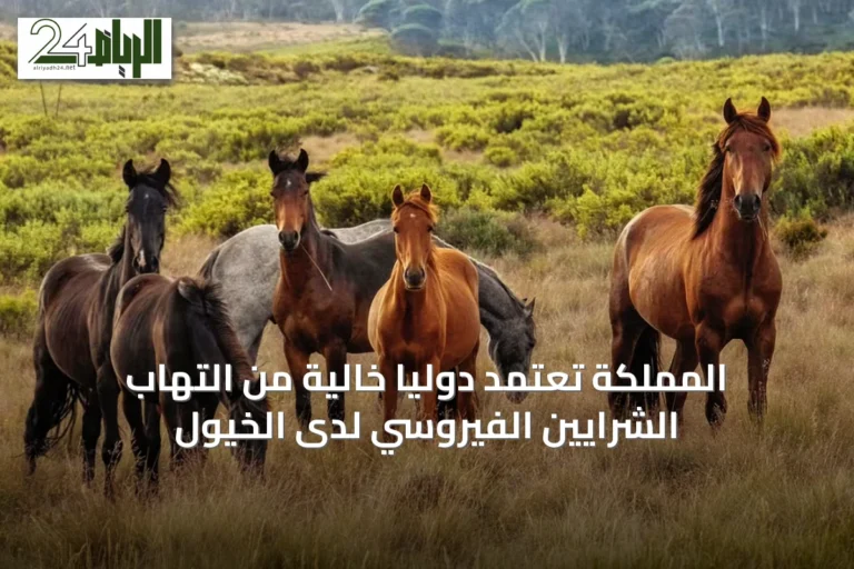 المملكة تُعتمد دوليًا خاليةً من التهاب الشرايين الفيروسي لدى الخيول