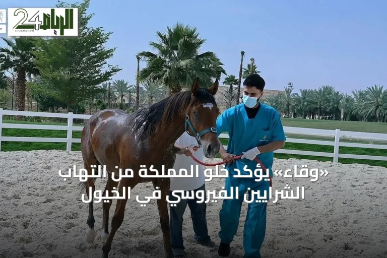 «وقاء» يؤكد خلو المملكة من التهاب الشرايين الفيروسي في الخيول