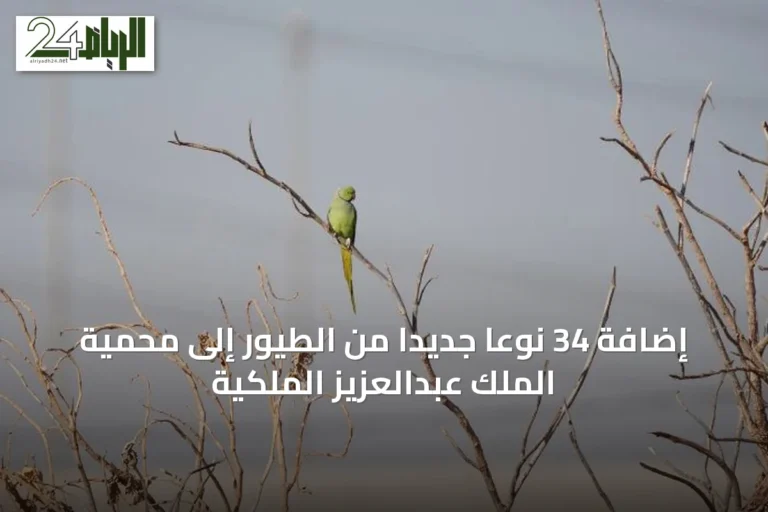 إضافة 34 نوعاً جديداً من الطيور إلى محمية الملك عبدالعزيز الملكية