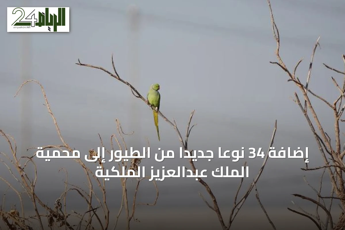 إضافة 34 نوعاً جديداً من الطيور إلى محمية الملك عبدالعزيز الملكية