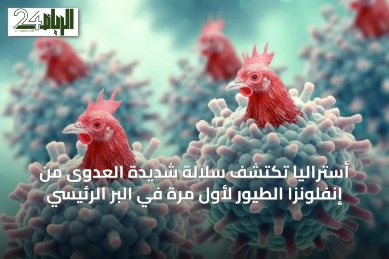 أستراليا تكتشف سلالة شديدة العدوى من إنفلونزا الطيور لأول مرة في البر الرئيسي