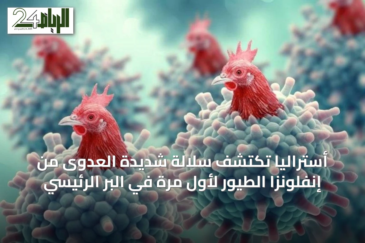 أستراليا تكتشف سلالة شديدة العدوى من إنفلونزا الطيور لأول مرة في البر الرئيسي