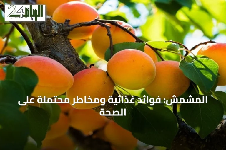 المشمش: فوائد غذائية ومخاطر محتملة على الصحة
