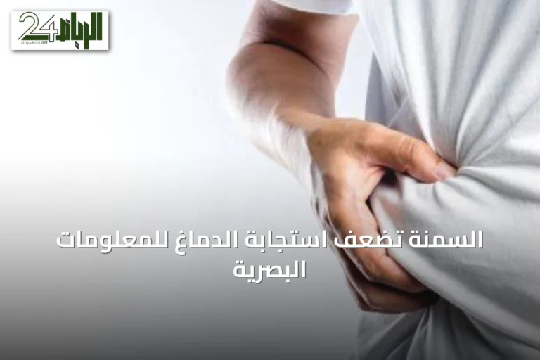 السمنة تُضعِف استجابة الدماغ للمعلومات البصرية