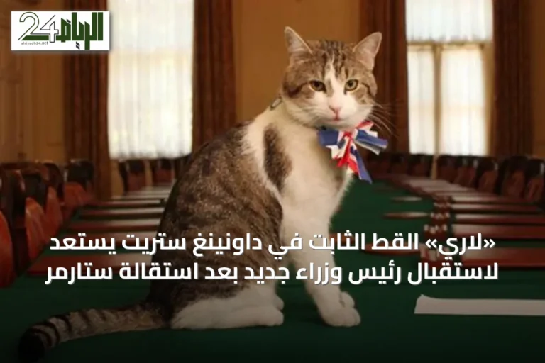 «لاري» القط الثابت في داونينغ ستريت يستعد لاستقبال رئيس وزراء جديد بعد استقالة ستارمر