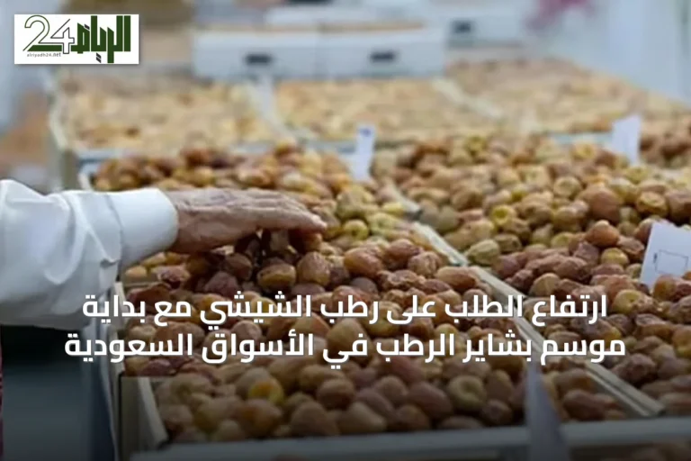ارتفاع الطلب على رطب الشيشي مع بداية موسم بشاير الرطب في الأسواق السعودية