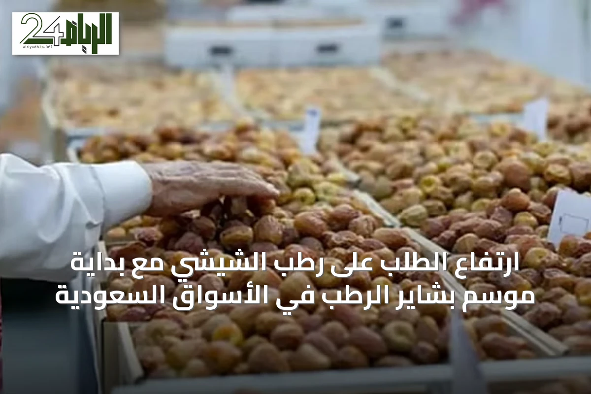 ارتفاع الطلب على رطب الشيشي مع بداية موسم بشاير الرطب في الأسواق السعودية