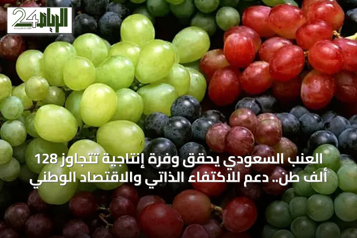 العنب السعودي يحقق وفرة إنتاجية تتجاوز 128 ألف طن.. دعم للاكتفاء الذاتي والاقتصاد الوطني