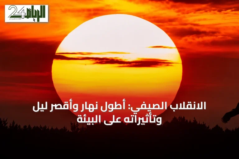 الانقلاب الصيفي: أطول نهار وأقصر ليل وتأثيراته على البيئة