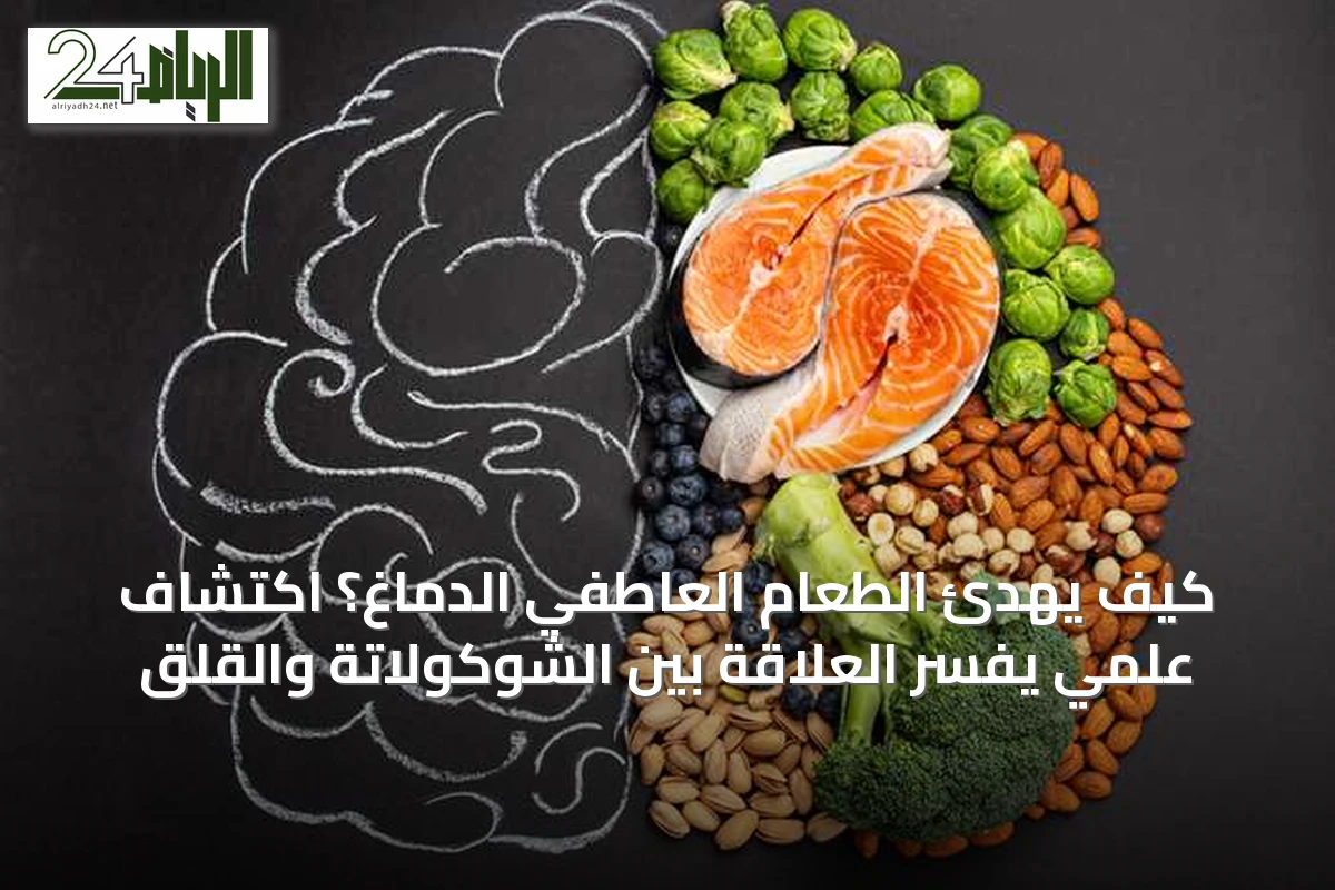 كيف يهدئ الطعام العاطفي الدماغ؟ اكتشاف علمي يفسّر العلاقة بين الشوكولاتة والقلق