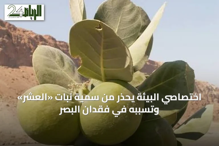اختصاصي البيئة يحذر من سمّية نبات «العشر» وتسبّبه في فقدان البصر