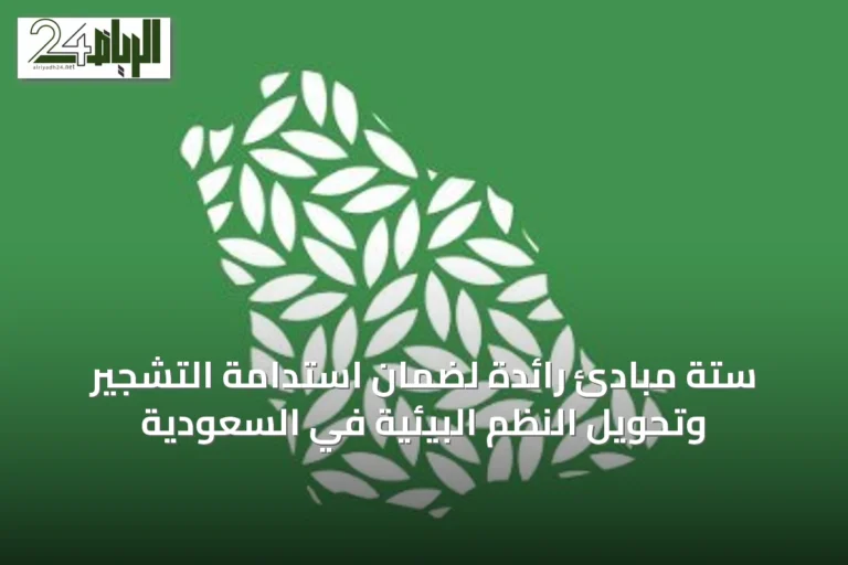 ستة مبادئ رائدة لضمان استدامة التشجير وتحويل النظم البيئية في السعودية