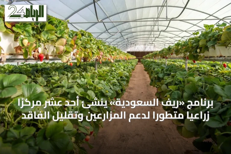 برنامج «ريف السعودية» يُنشئ أحد عشر مركزًا زراعيًا متطورًا لدعم المزارعين وتقليل الفاقد