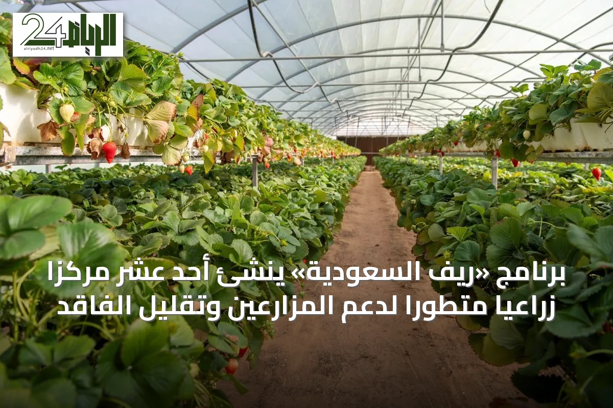 برنامج «ريف السعودية» يُنشئ أحد عشر مركزًا زراعيًا متطورًا لدعم المزارعين وتقليل الفاقد