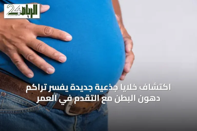 اكتشاف خلايا جذعية جديدة يفسّر تراكم دهون البطن مع التقدم في العمر