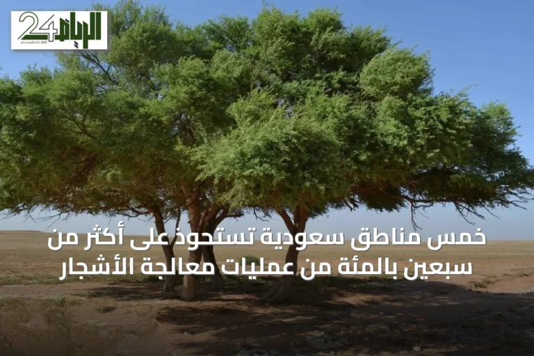 خمس مناطق سعودية تستحوذ على أكثر من سبعين بالمئة من عمليات معالجة الأشجار