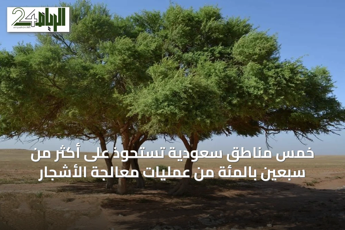 خمس مناطق سعودية تستحوذ على أكثر من سبعين بالمئة من عمليات معالجة الأشجار