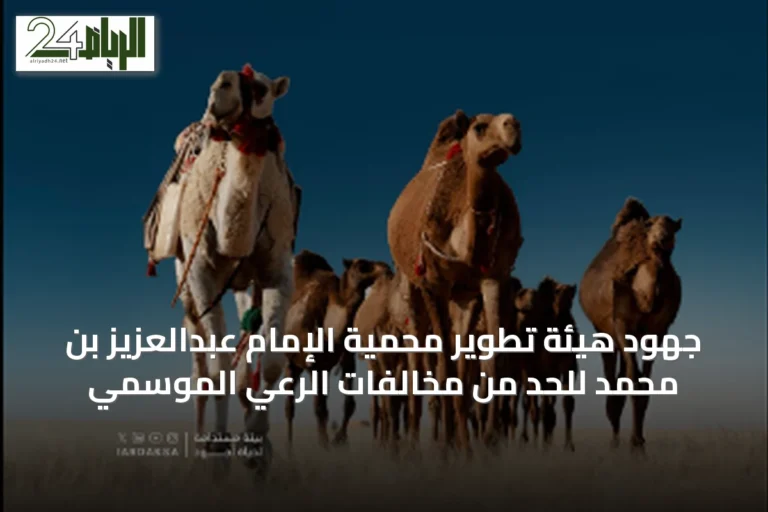 جهود هيئة تطوير محمية الإمام عبدالعزيز بن محمد للحد من مخالفات الرعي الموسمي