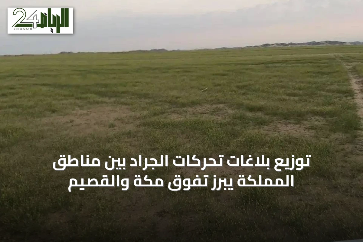 توزيع بلاغات تحركات الجراد بين مناطق المملكة يبرز تفوق مكة والقصيم