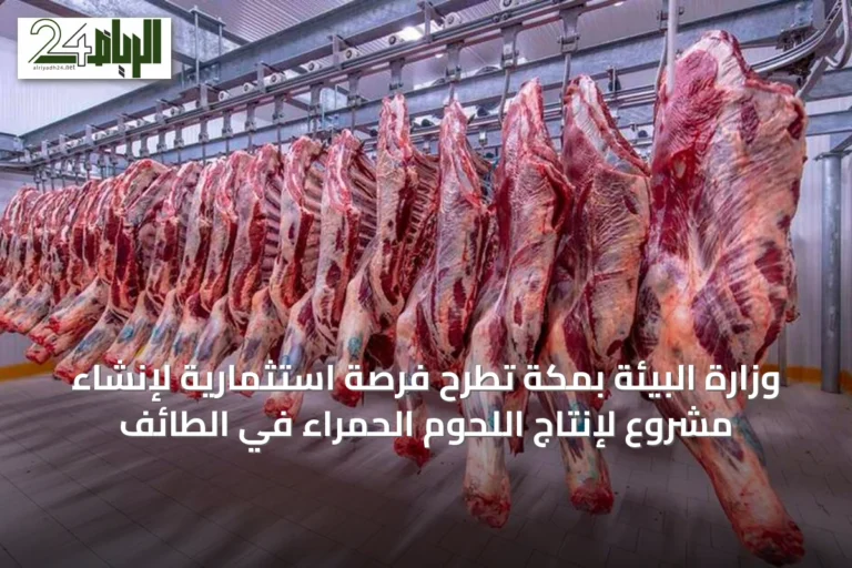 وزارة البيئة بمكة تطرح فرصة استثمارية لإنشاء مشروع لإنتاج اللحوم الحمراء في الطائف