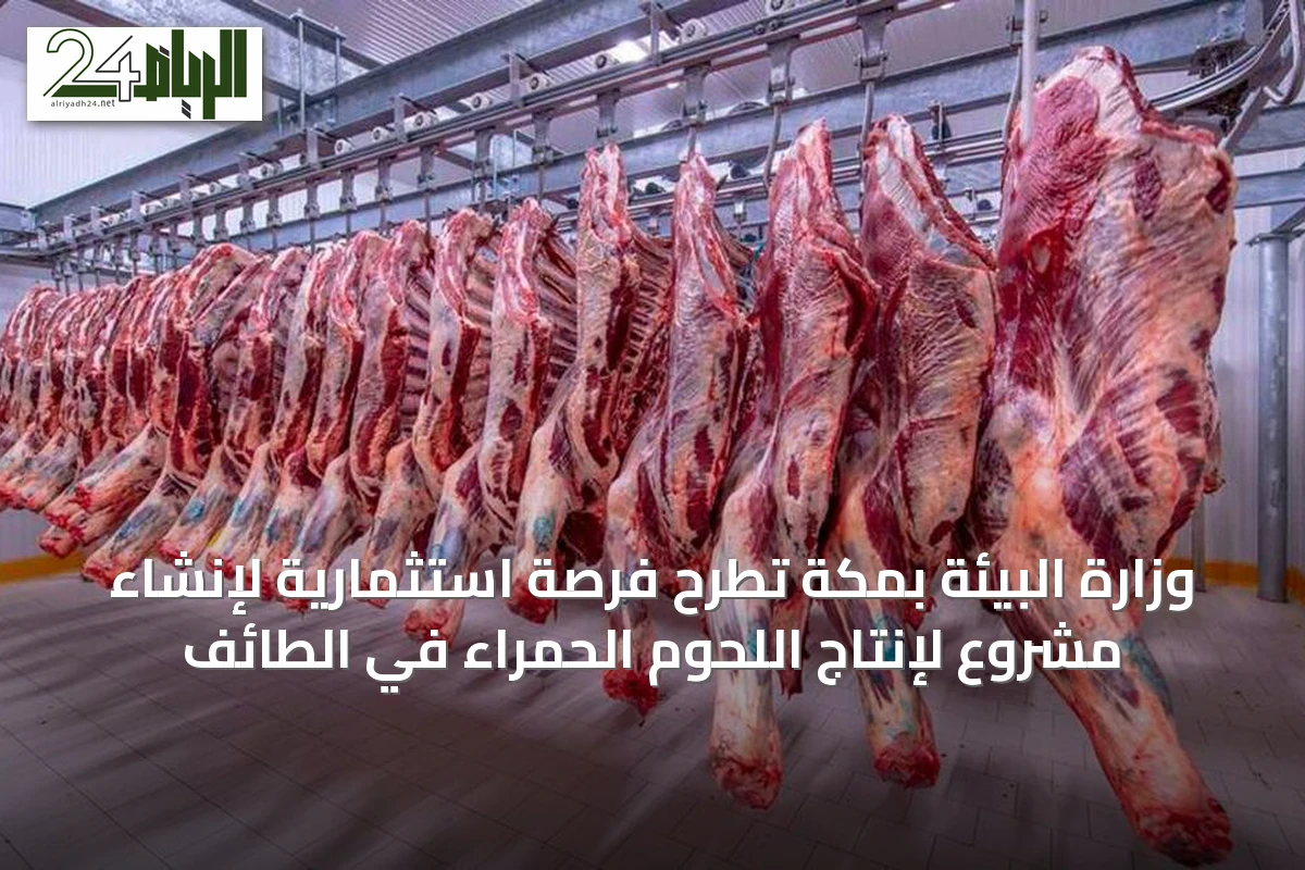 وزارة البيئة بمكة تطرح فرصة استثمارية لإنشاء مشروع لإنتاج اللحوم الحمراء في الطائف