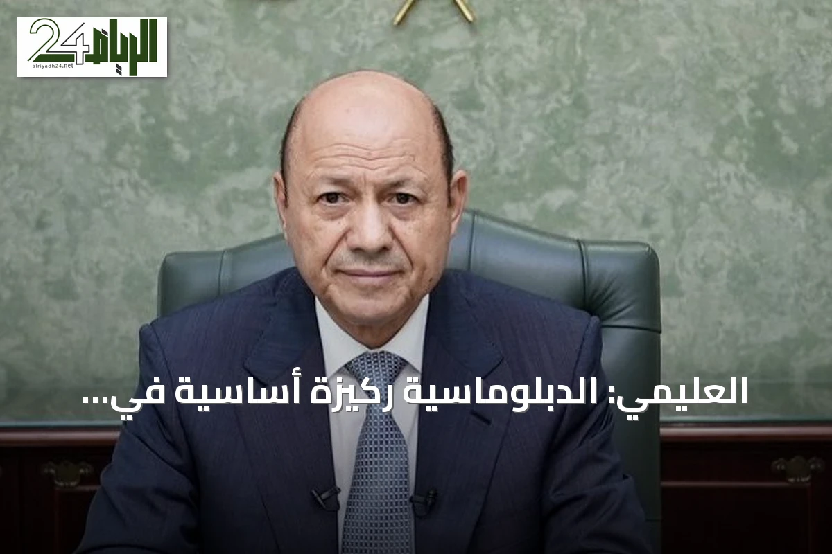 العليمي: الدبلوماسية ركيزة أساسية في معركة اليمن ضد الحوثي