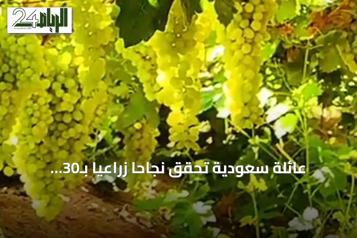 عائلة سعودية تحقق نجاحاً زراعيّاً بـ30 ألف شجرة عنب تنتج ربع مليون صندوق سنوياً