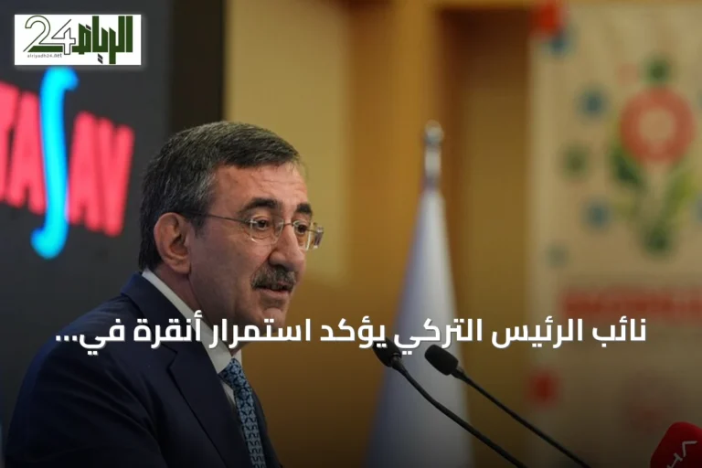 نائب الرئيس التركي يؤكد استمرار أنقرة في دعم قبرص التركية
