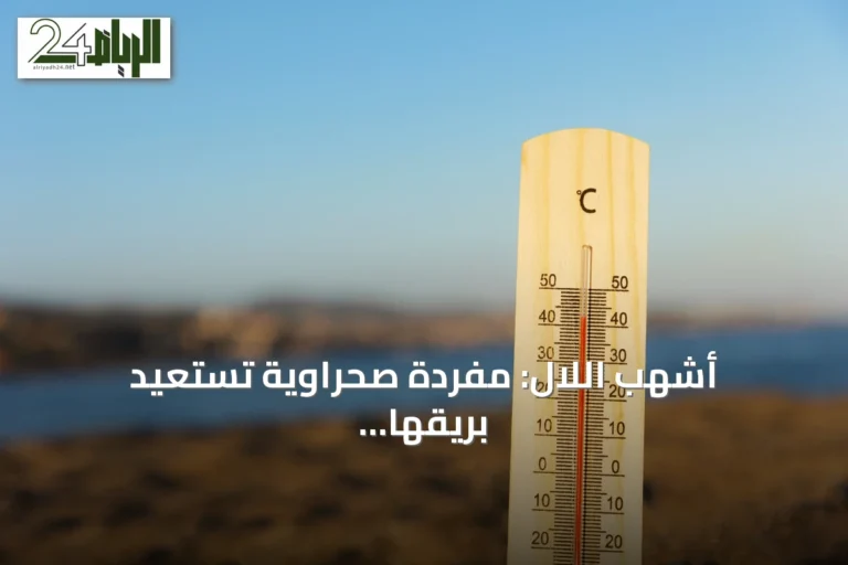 أشهب اللال: مفردة صحراوية تستعيد بريقها مع ارتفاع حرارة الصيف